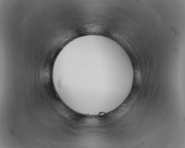 X0000113350668200910061020