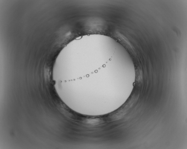 X0000113350669200910061020