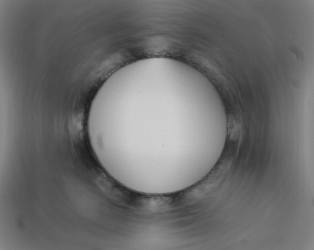 X0000113350670200910061020