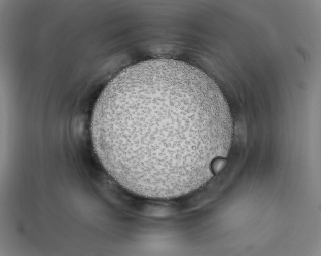 X0000113350671200910061020