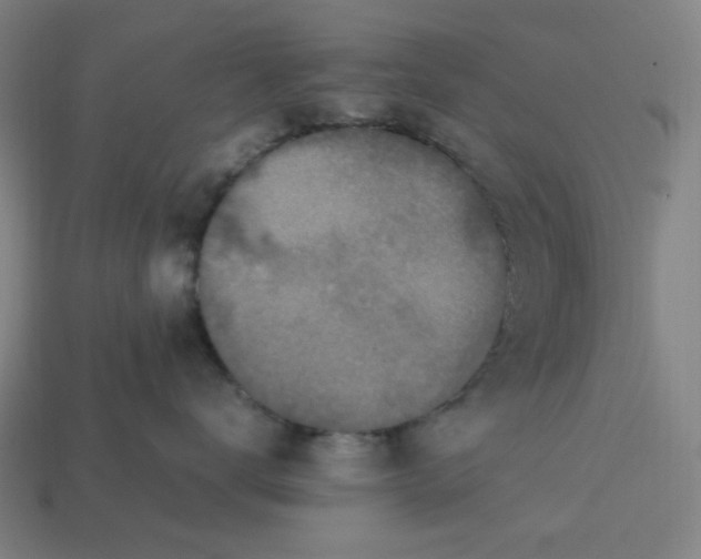 X0000113350672200910061020