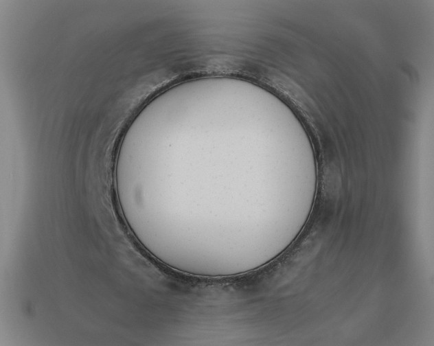 X0000113350673200910061019