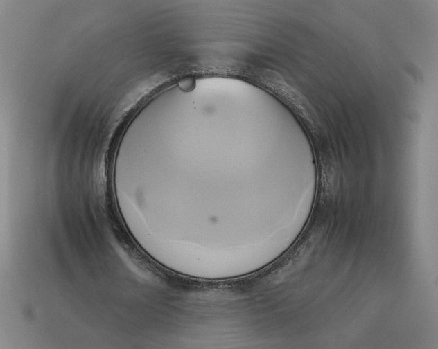 X0000113350674200910061019