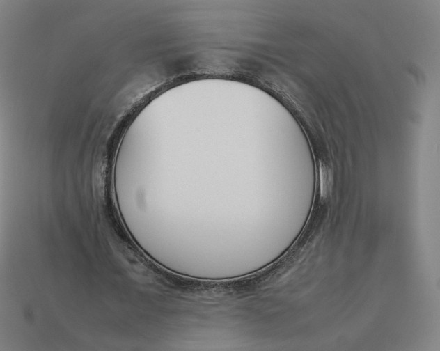 X0000113350675200910061019