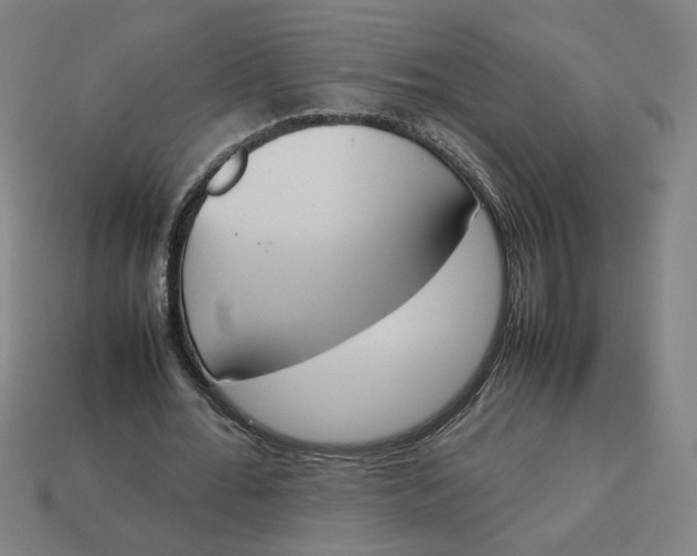 X0000113350676200910061019