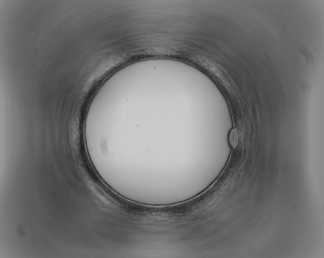 X0000113350677200910061019