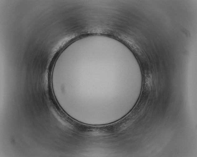 X0000113350678200910061019