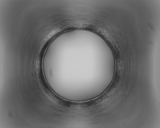 X0000113350679200910061019