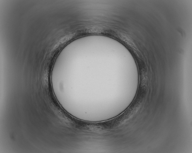 X0000113350681200910061019