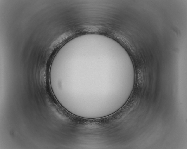 X0000113350682200910061019