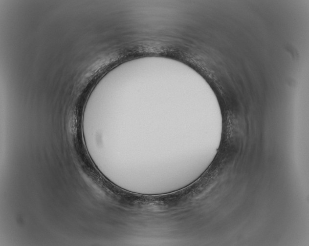 X0000113350683200910061019