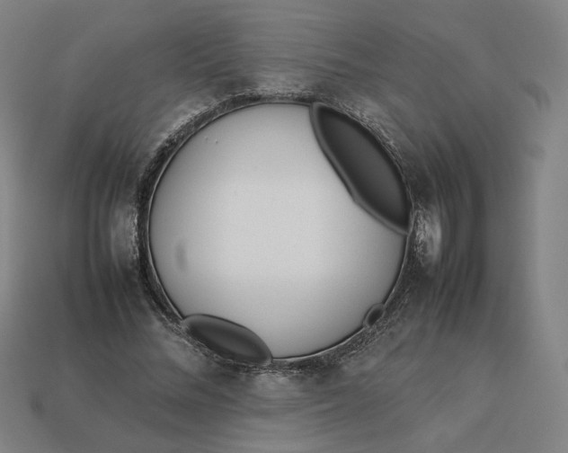 X0000113350684200910061019