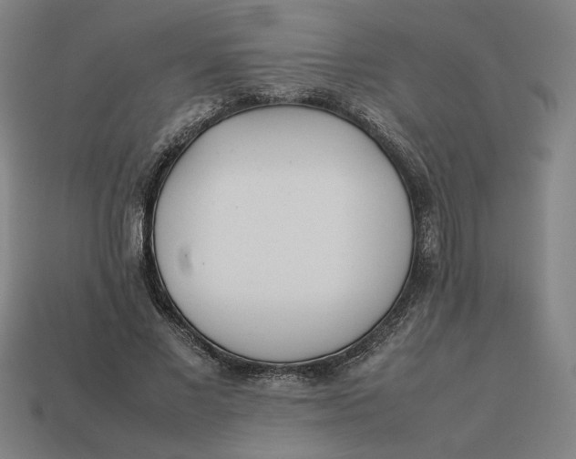 X0000113350685200910061019