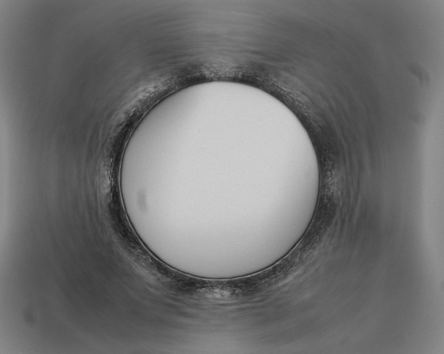 X0000113350687200910061019