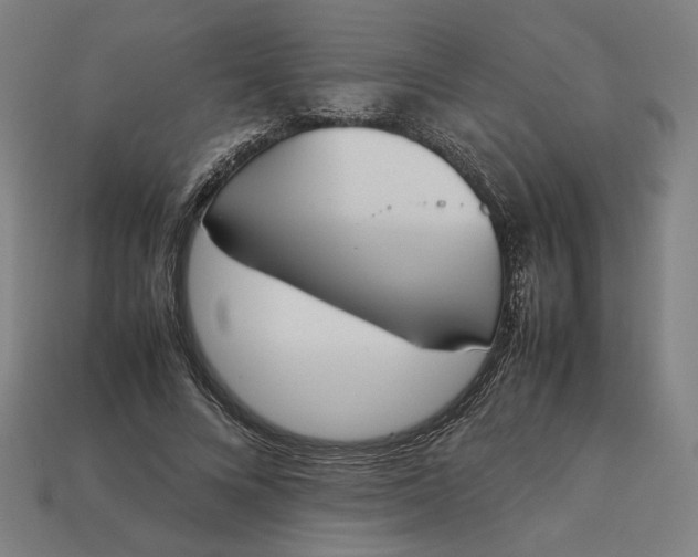 X0000113350688200910061019