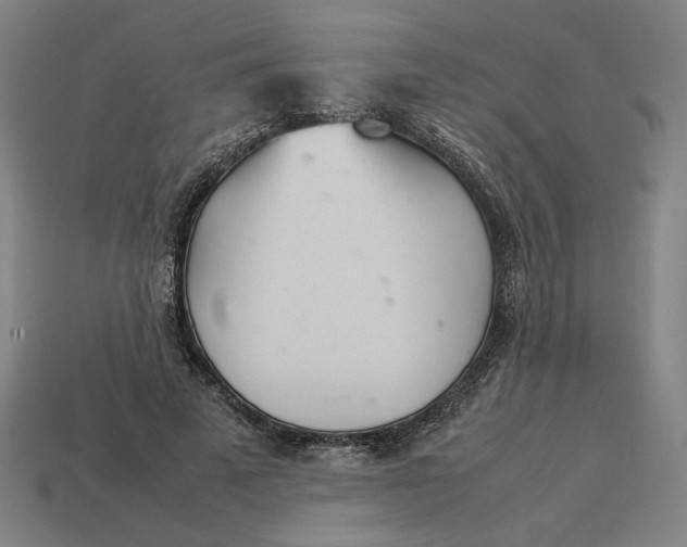 X0000113350689200910061019