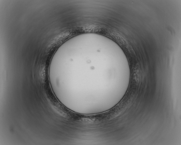 X0000113350690200910061019