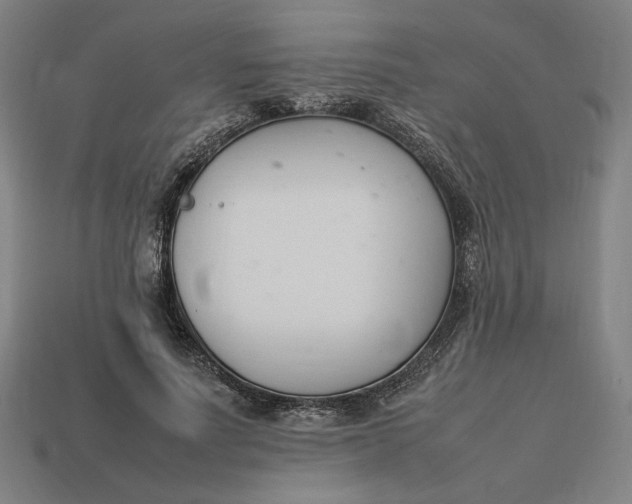 X0000113350691200910061019