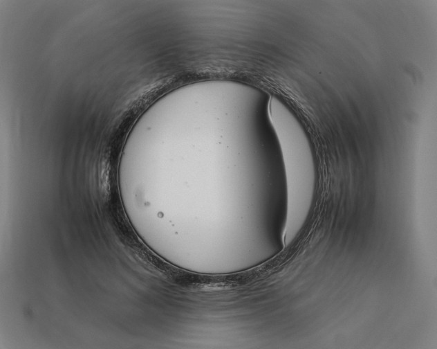 X0000113350692200910061019