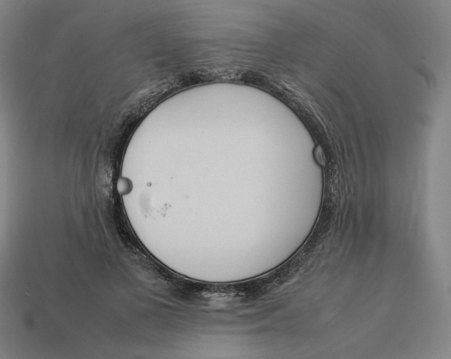 X0000113350693200910061019