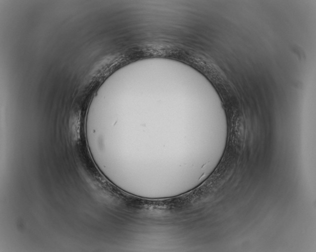 X0000113350694200910061019