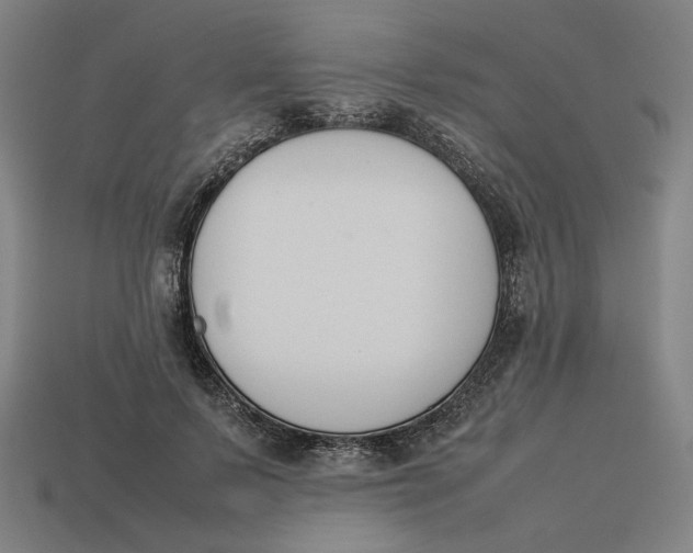 X0000113350695200910061019