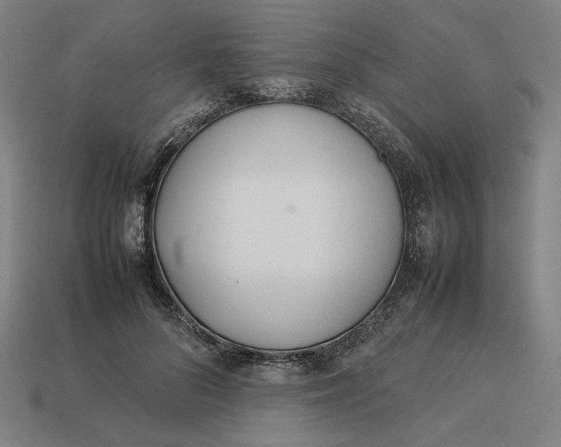 X0000113350696200910061019