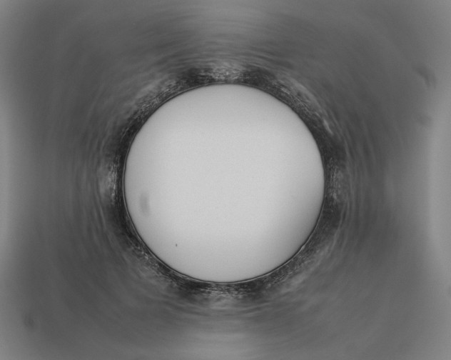 X0000113350697200910061019