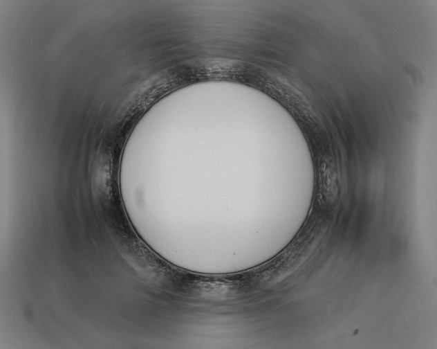 X0000113350698200910061019