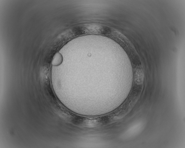 X0000113350701200910061019