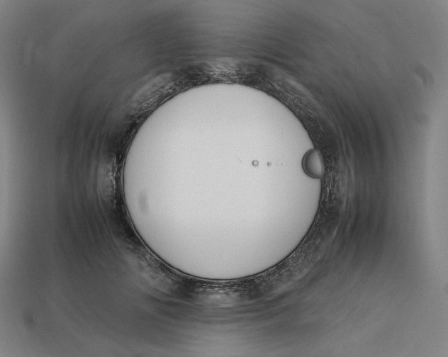 X0000113350702200910061019