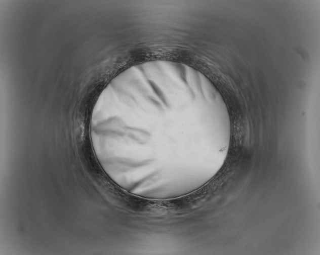 X0000113350703200910061019