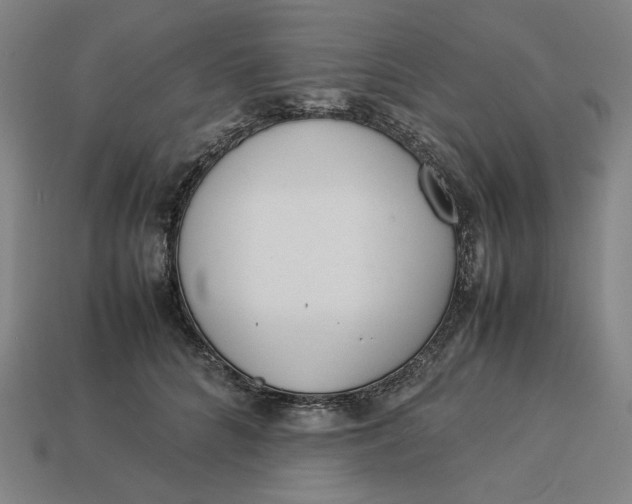 X0000113350704200910061019