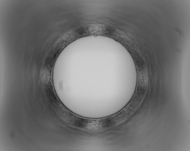 X0000113350705200910061019