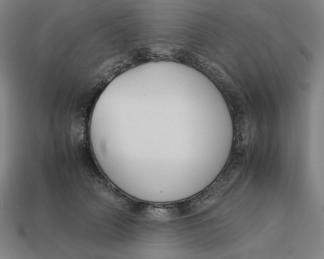 X0000113350706200910061019