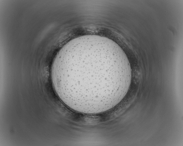 X0000113350707200910061019