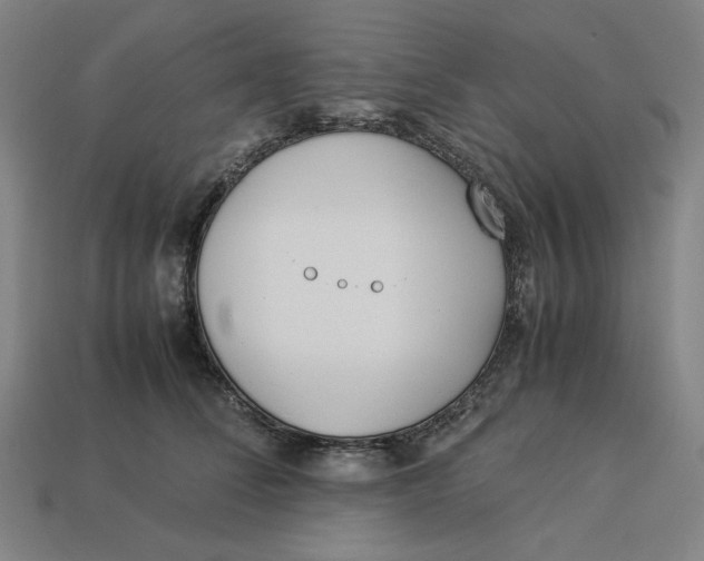 X0000113350708200910061019