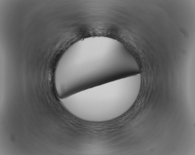 X0000113350709200910061019