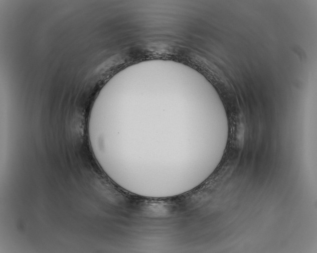 X0000113350710200910061019