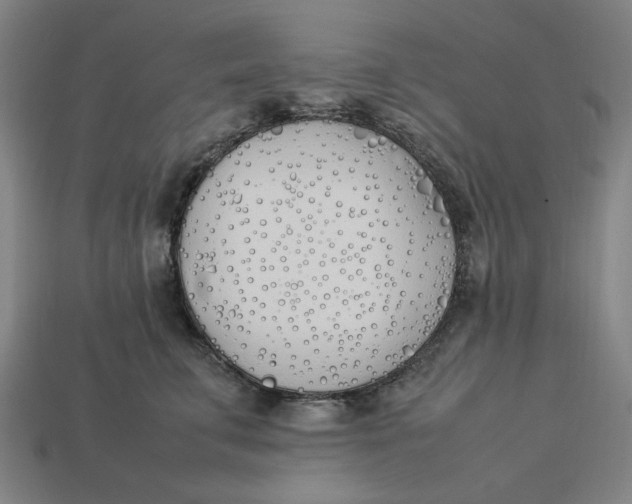 X0000113350711200910061019