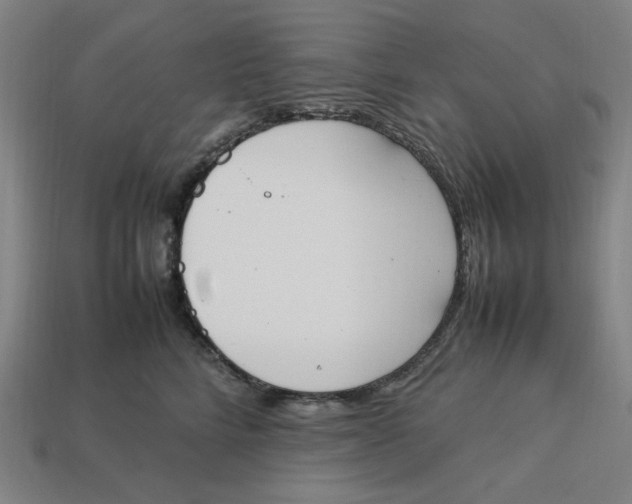 X0000113350712200910061019