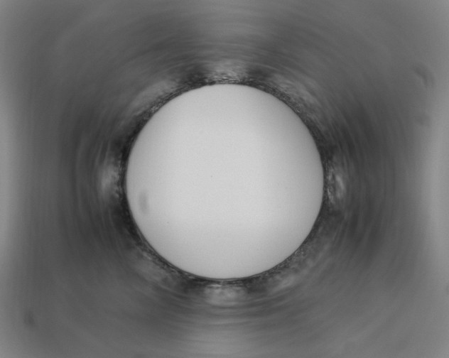 X0000113350714200910061019