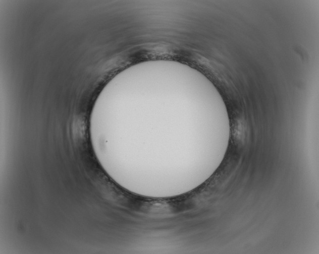 X0000113350715200910061019