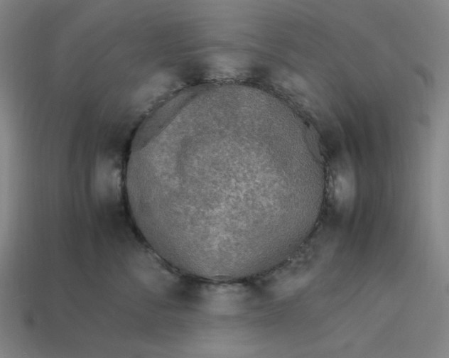 X0000113350716200910061019