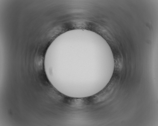 X0000113350717200910061019