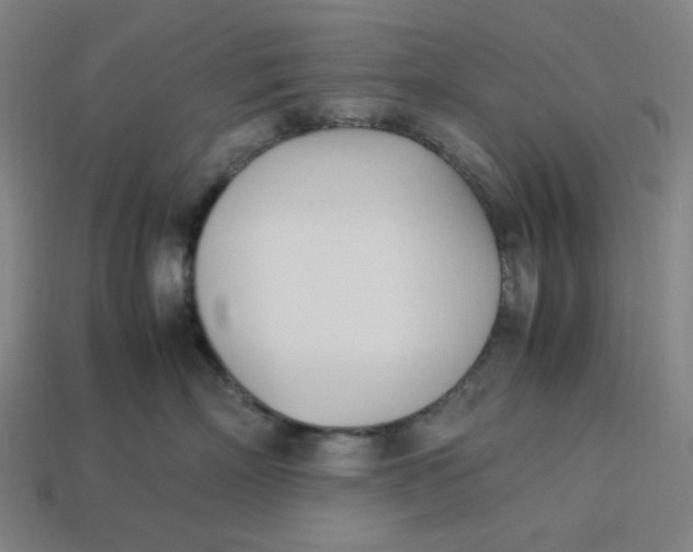 X0000113350718200910061019