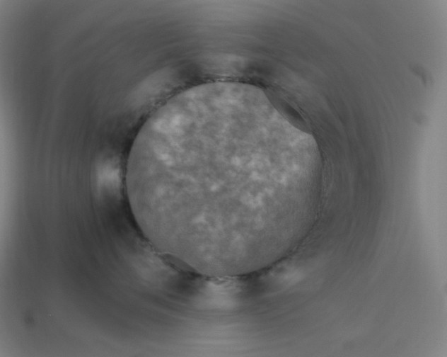 X0000113350720200910061019