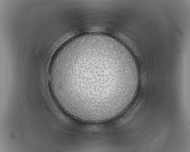 X0000113350721200910061018