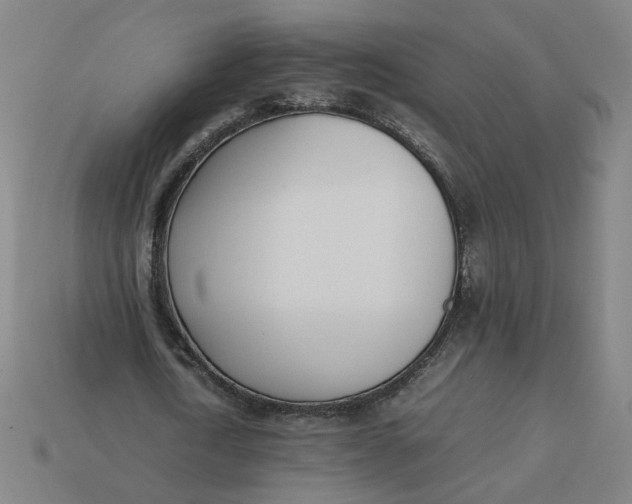 X0000113350722200910061018