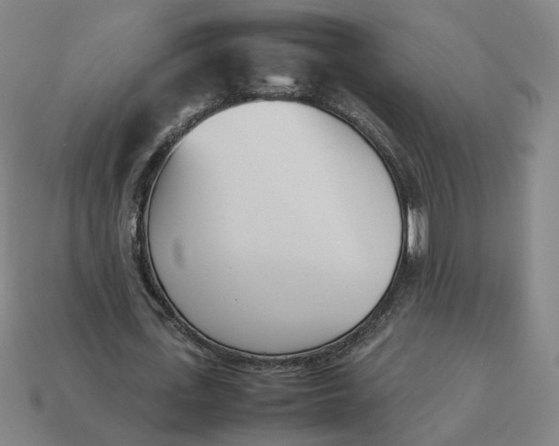 X0000113350723200910061018